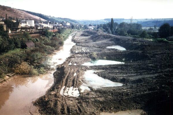 Vereinsgelände in Obertürkheim