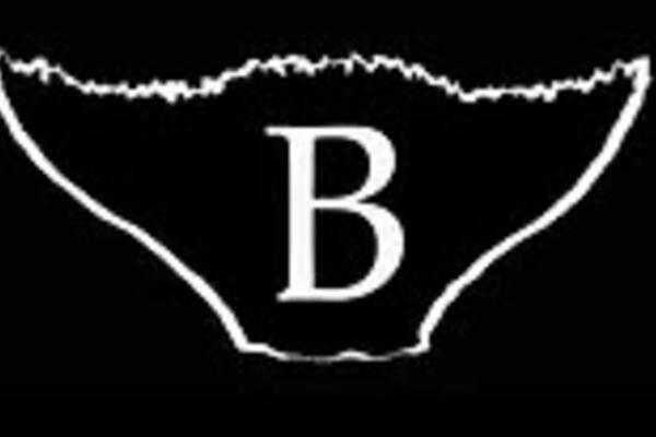 Buttkrone