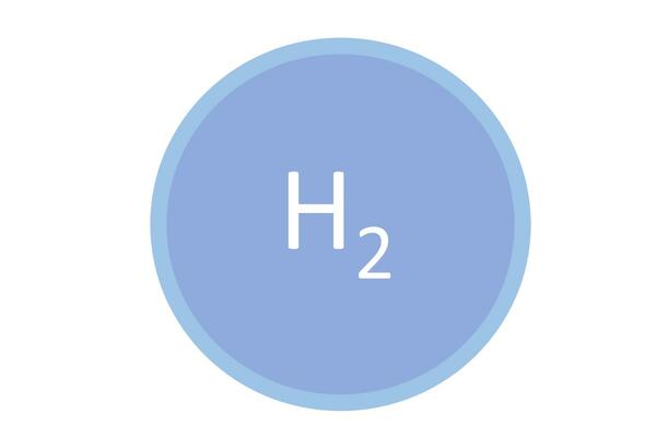 h2