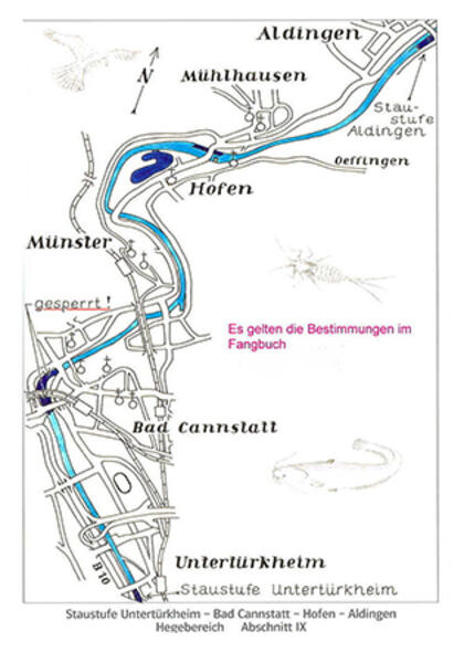 Gewässerkarte Hegebereich 9, Untertürkheim bis Aldingen