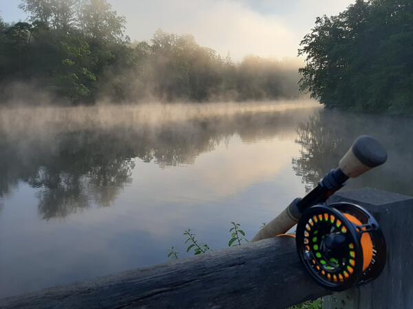 Morgen am Neuen See nahe dem Bärenschlössle